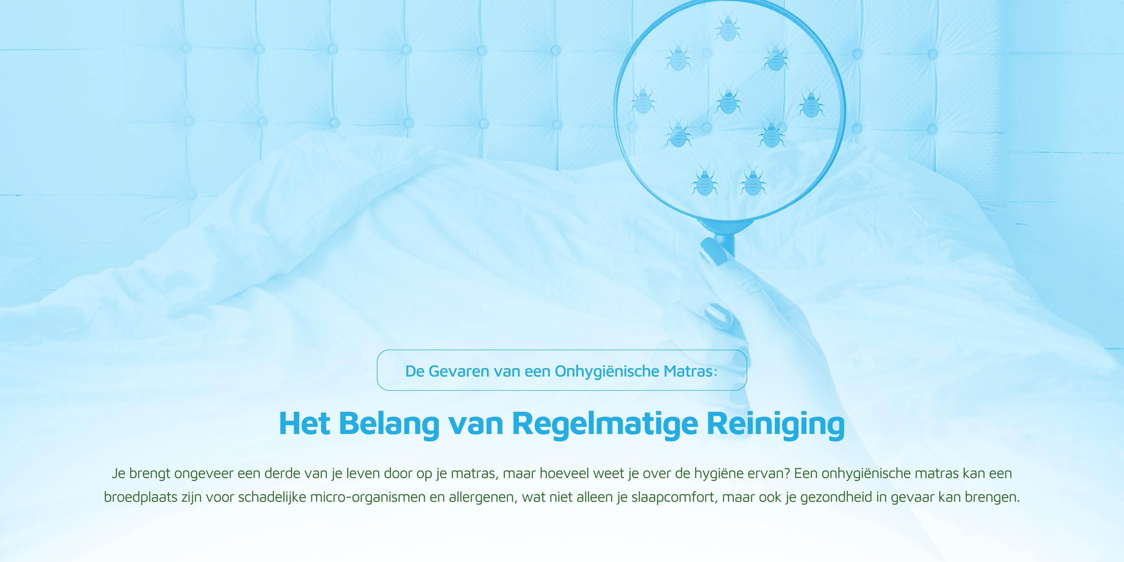 Illustratie van huisstofmijten op een vergrootglas en wat de gevaren zijn van een onhygiënische matras.