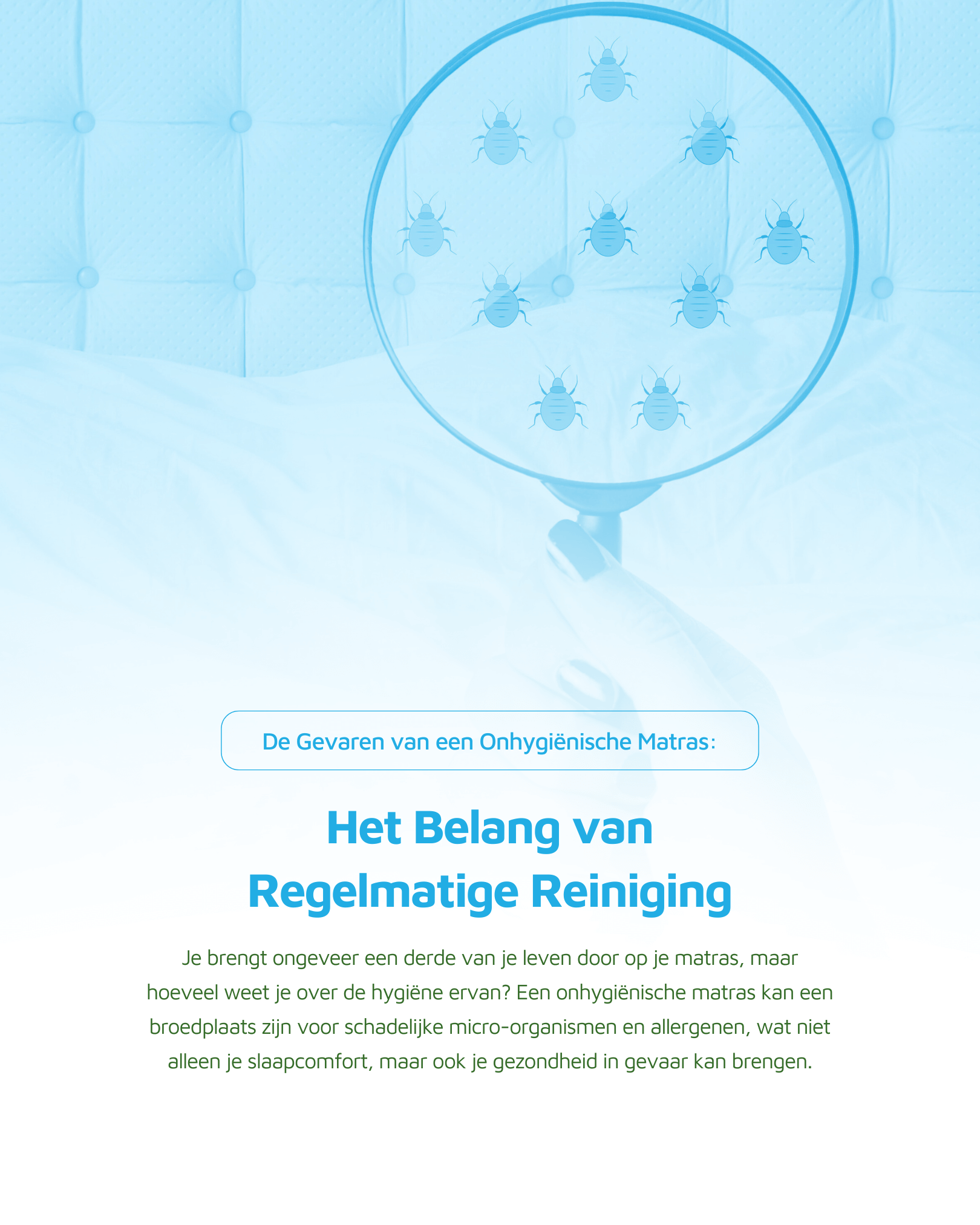 Illustratie van huisstofmijten op een vergrootglas en wat de gevaren zijn van een onhygiënische matras.