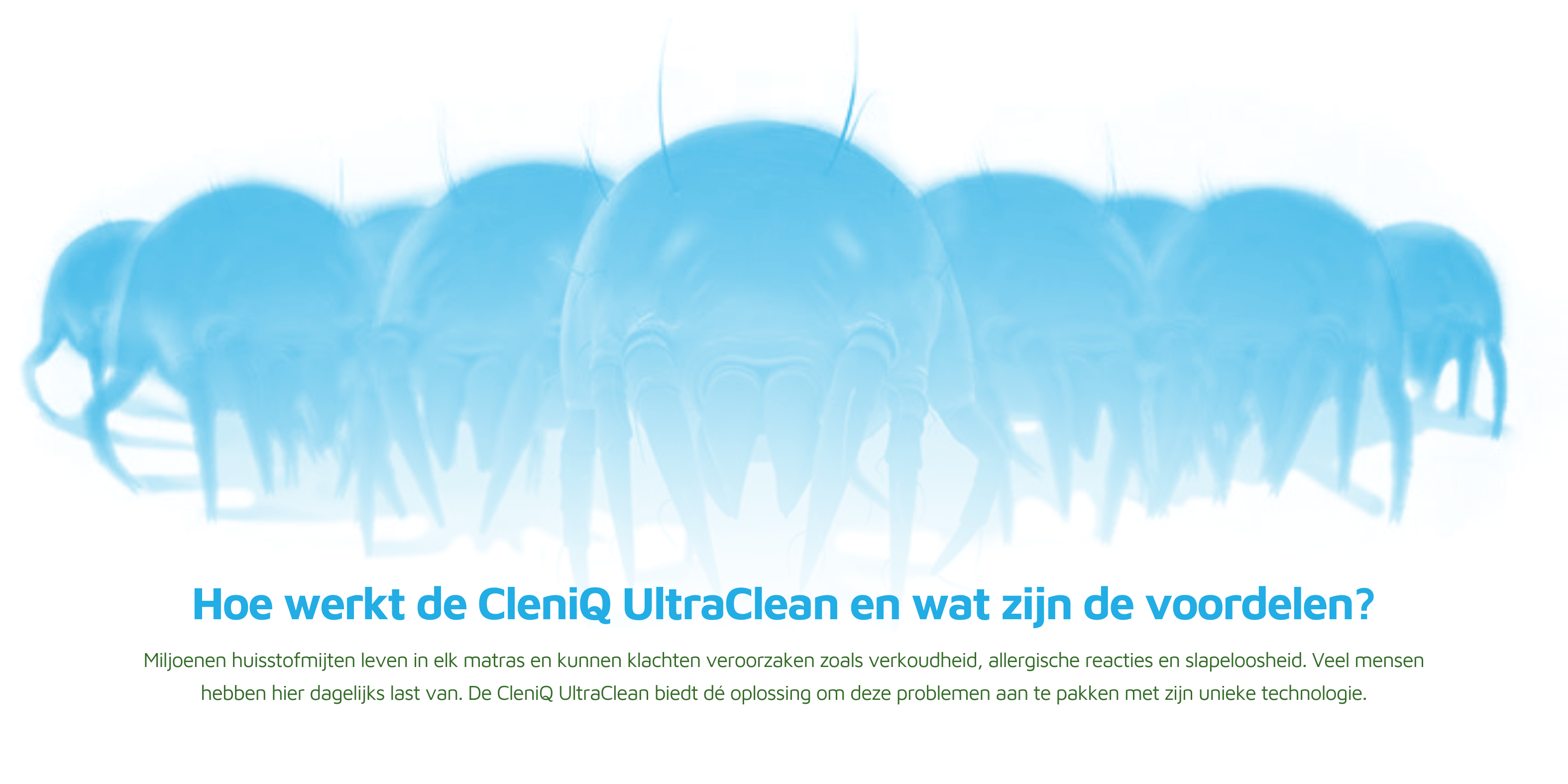 Illustratie van huisstofmijten op de voorgrond, met tekst hoe de CleniQ UltraClean Anti-Huisstofmijt Reiniger werkt en de voordelen.