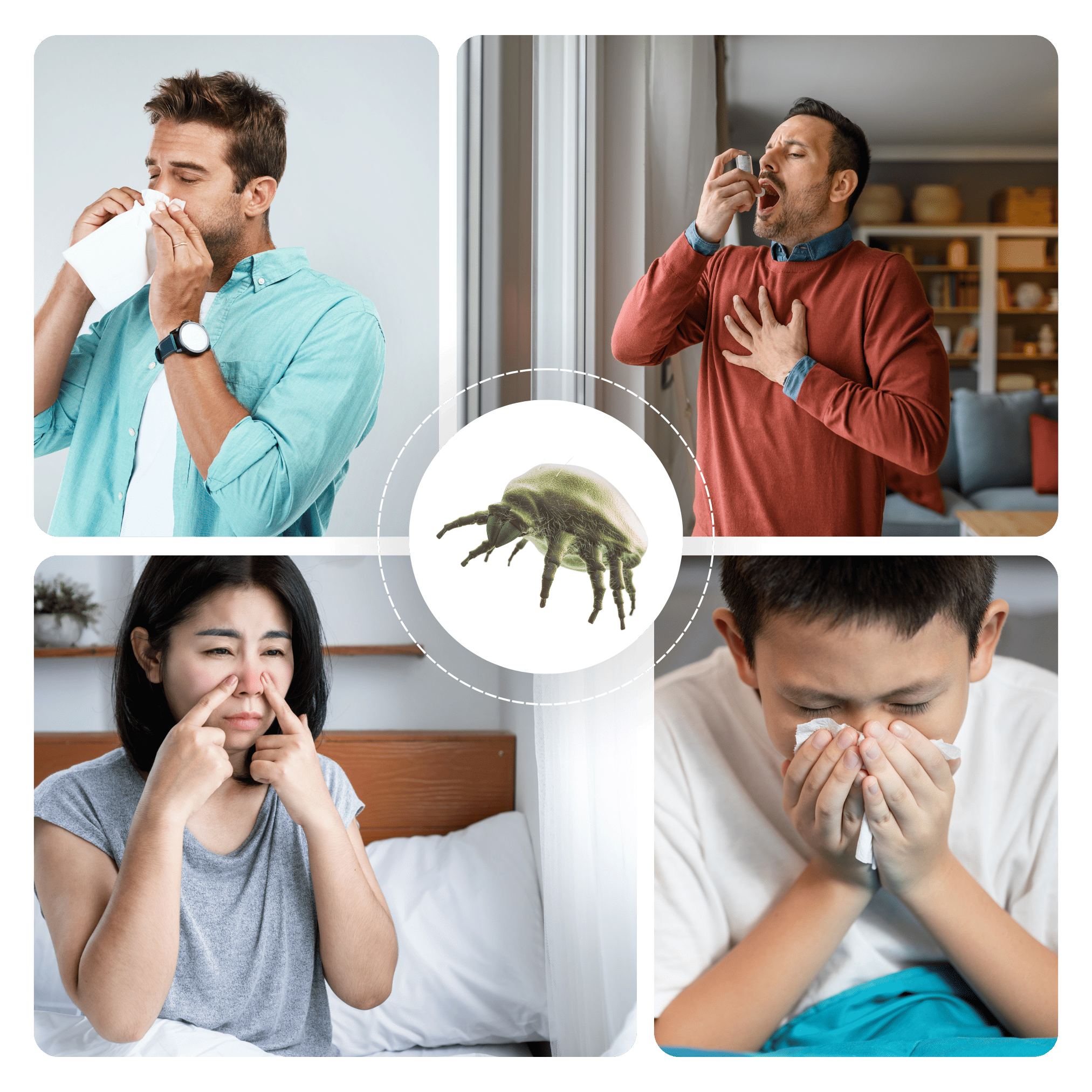 Collage van mensen met symptomen van huisstofmijtallergie, zoals niezen, ademhalingsproblemen en rode ogen met in het midden een huisstofmijt.